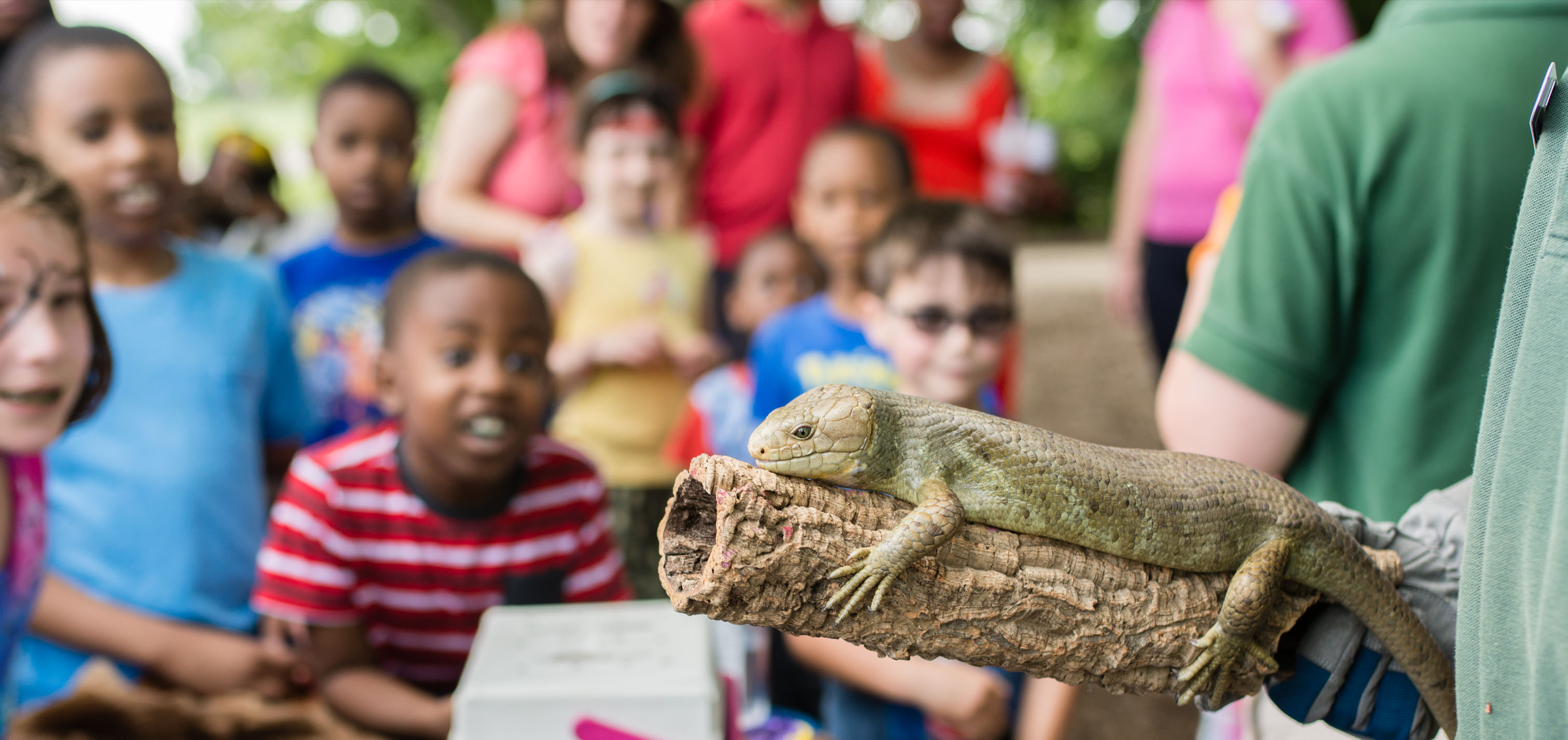 Brandywine Zoo conducting outreach programs at Alapocas Run State Park