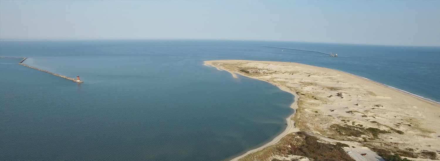 Picture of Cape Henlopen State Park