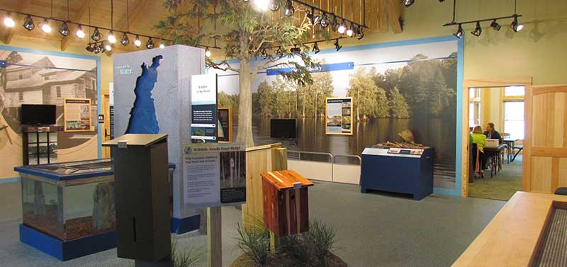 Baldcypress nature center interior animal displays