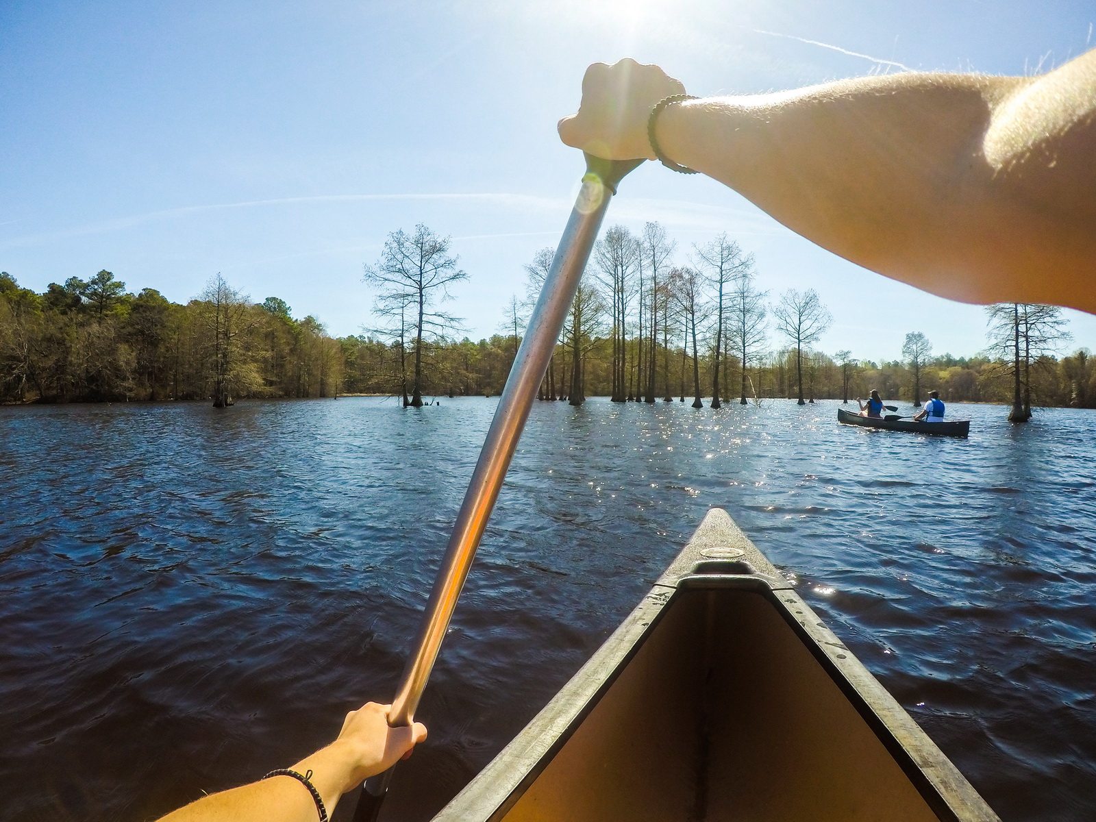 Canoing and kayaking are popular at Trap Pond State Park