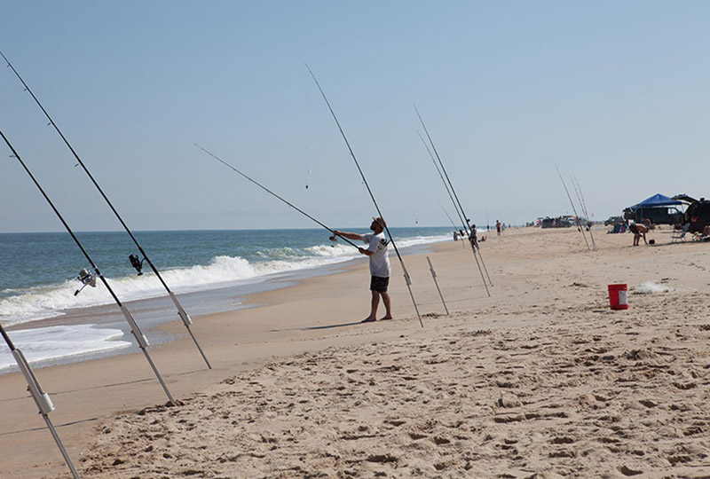 Poles in the sand fishing.