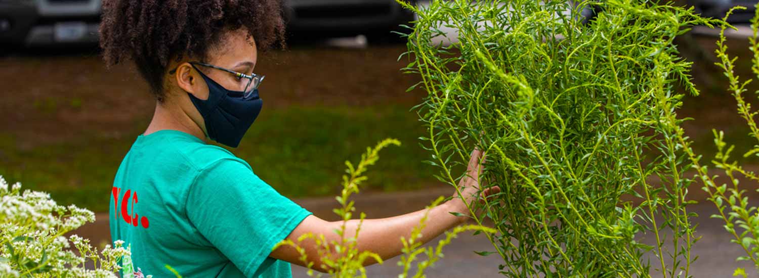 Teen volunteer tending to plants